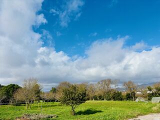  Terrain � vendre 730 m�