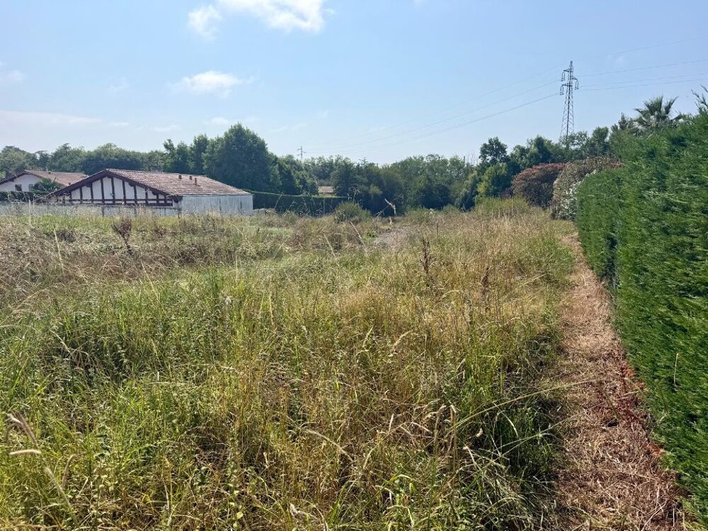 vente Terrain - 570 m² Bidart (64210)