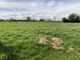  Terrain 813 m� Blairville