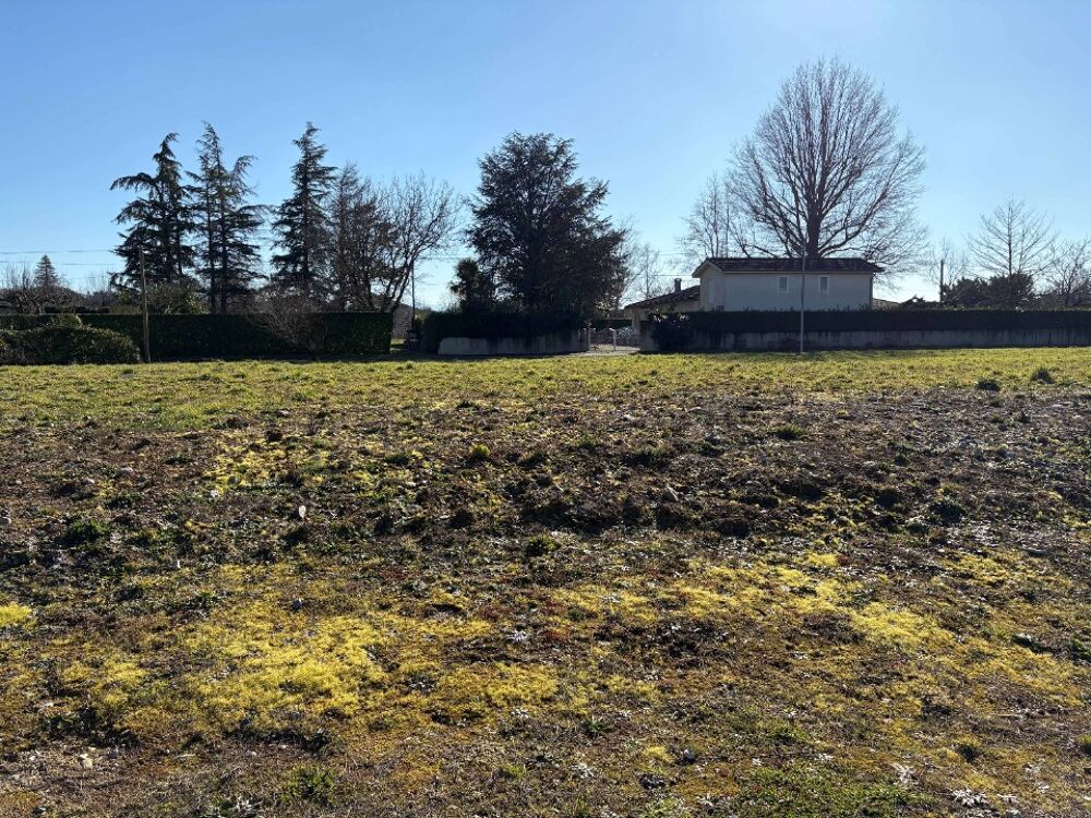 vente Terrain - 912 m² Castres (81100)