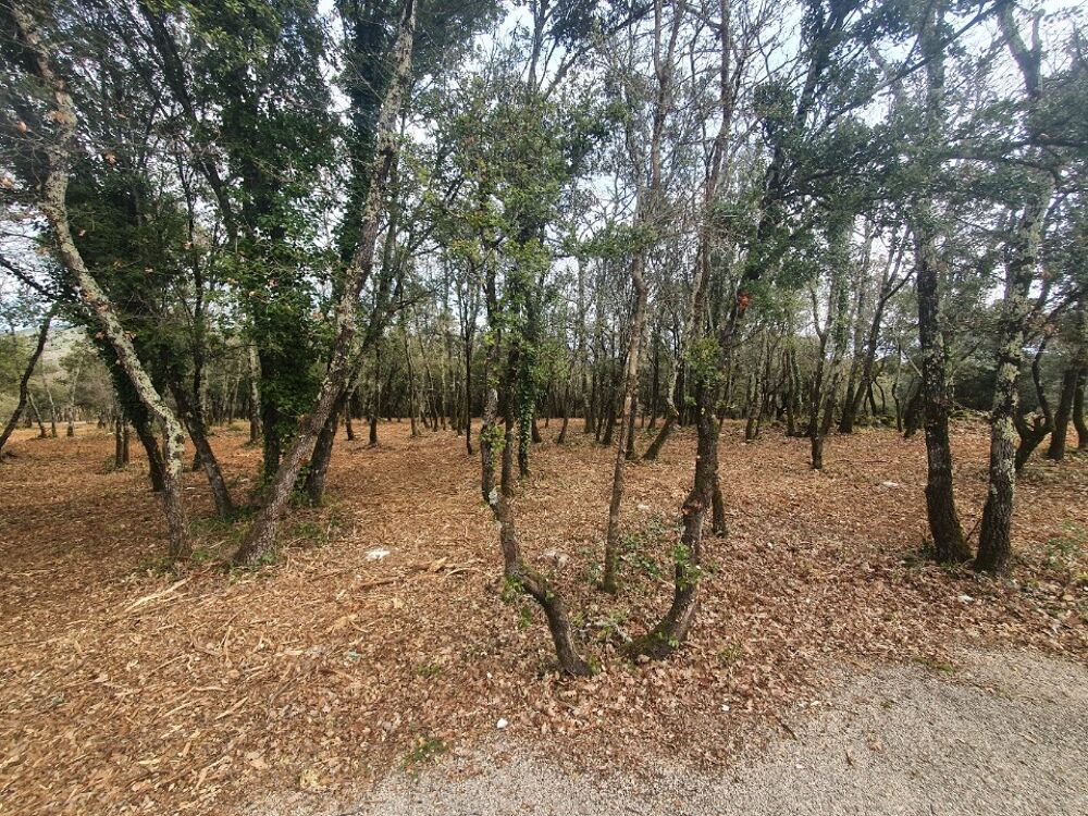 vente Maison - 4 pièce(s) - 88 m² Labastide-de-Virac (07150)