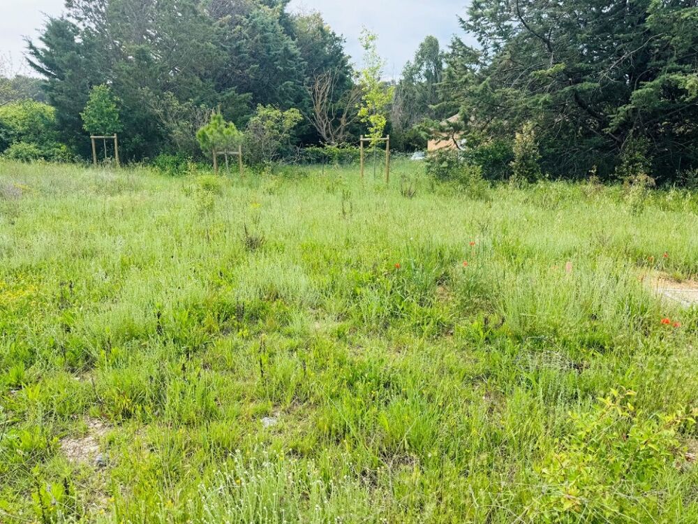 vente Terrain - 450 m² Peynier (13790)
