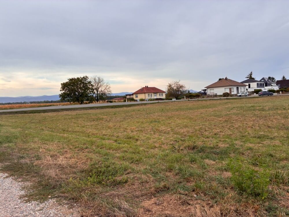 vente Terrain - 470 m² Sundhoffen (68280)