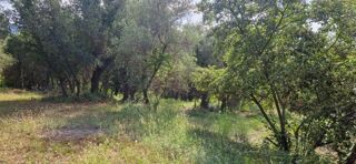  Terrain � vendre 2000 m�