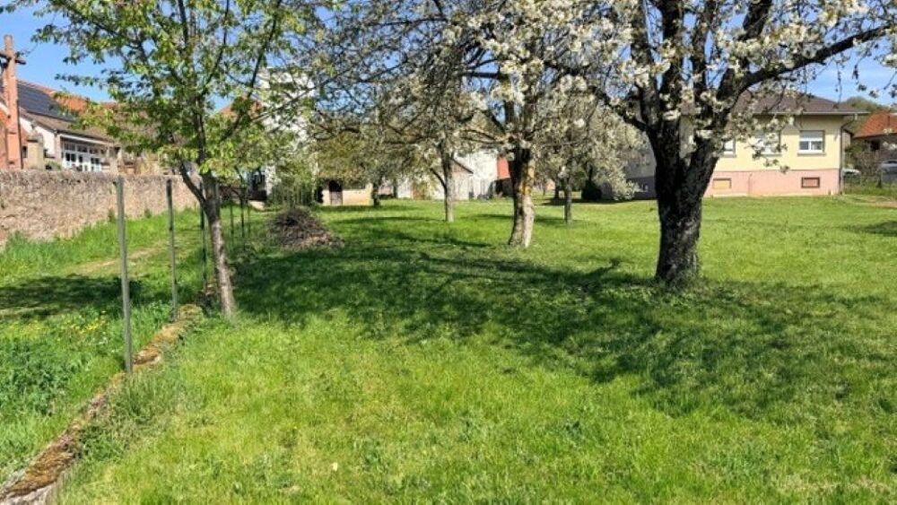 vente Terrain - 500 m² Osenbach (68570)