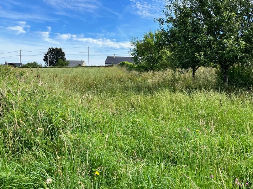 vente Terrain - 1500 m² Roannes-Saint-Mary (15220)