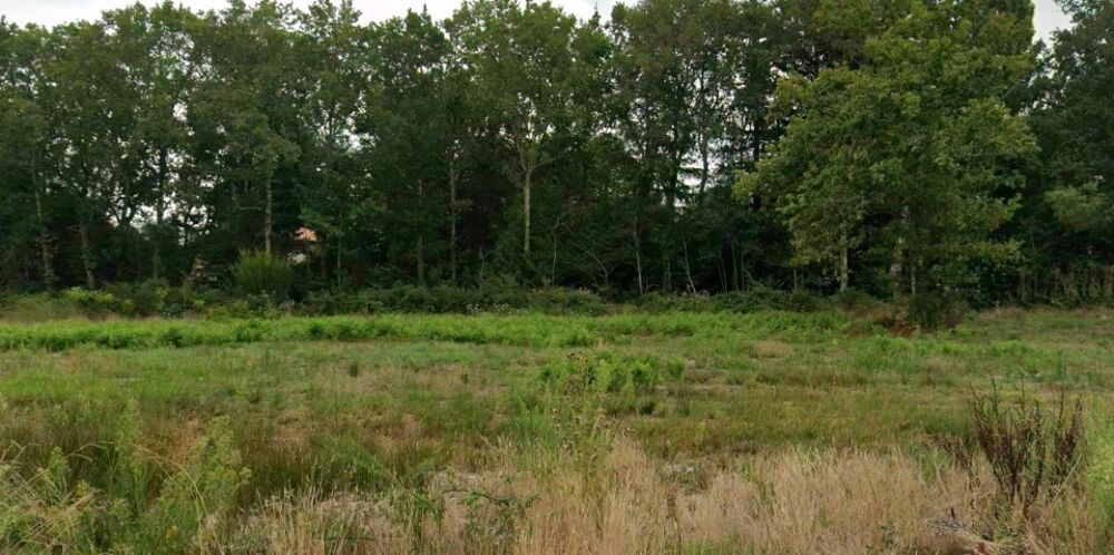 vente Terrain - 873 m² Saint-Aubin-de-Médoc (33160)