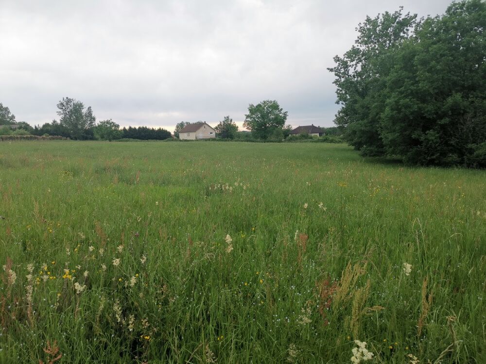 vente Maison - 1 pièce(s) - 85 m² Beauregard-de-Terrasson (24120)