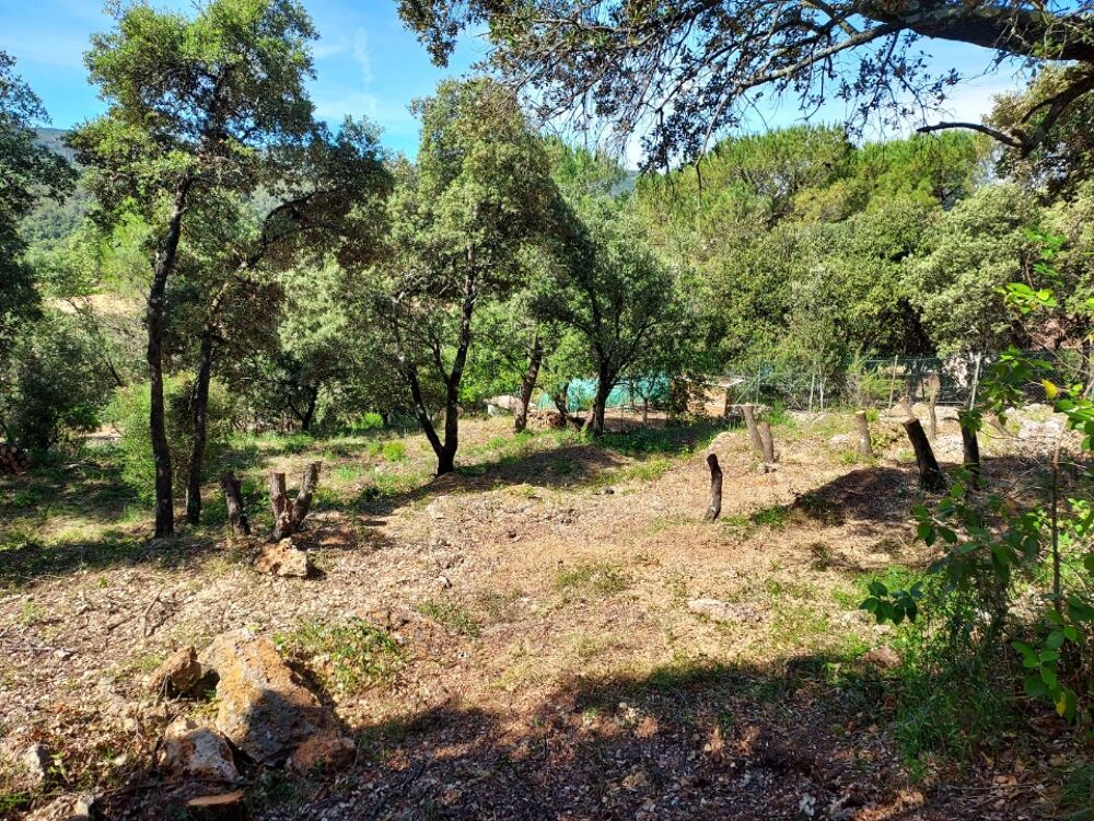 vente Terrain - 950 m² Sainte-Anastasie-sur-Issole (83136)