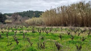  Terrain � vendre 643 m�