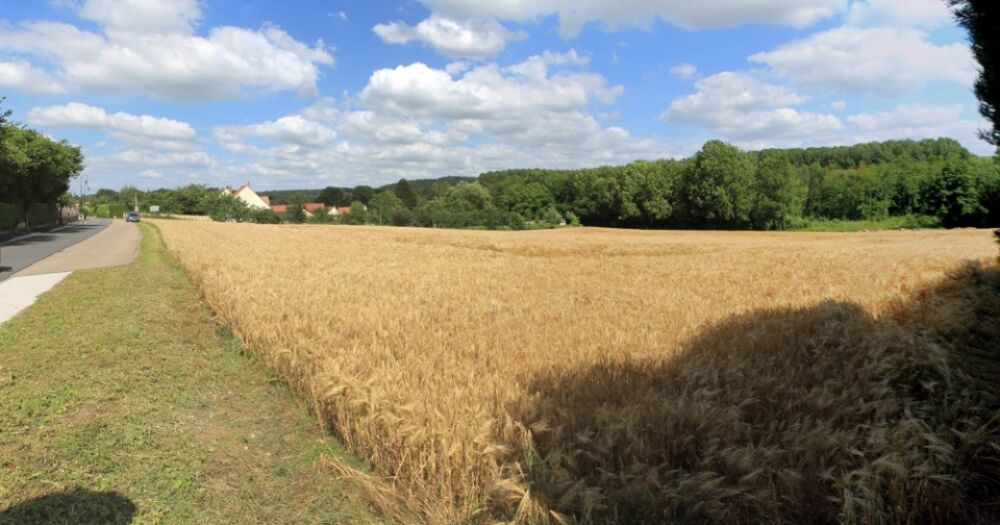 vente Terrain - 1100 m² Mézières-en-Vexin (27510)