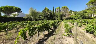  Terrain � vendre 914 m�