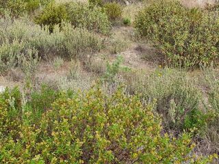  Terrain � vendre 555 m�