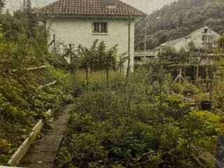  Terrain 367 m� Lourdes