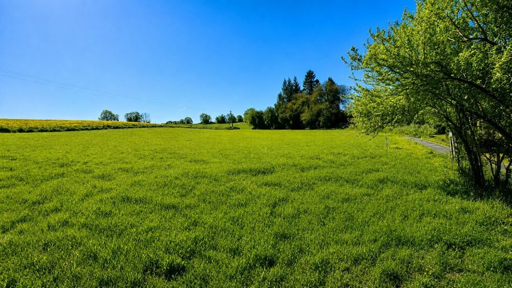 vente Terrain - 5118 m² Torcy-le-Grand (76590)
