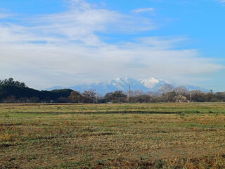  Terrain à vendre 1365 m²