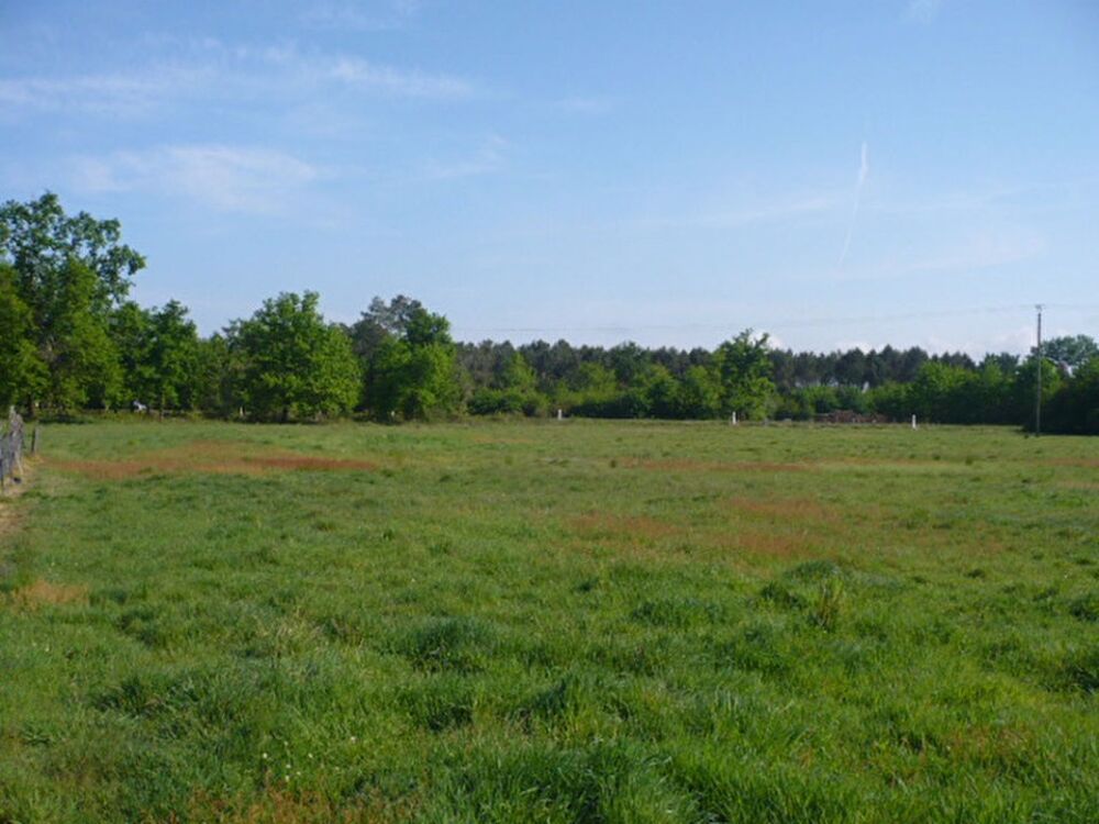 Ambarès-et-Lagrave : maison 1 pièce (85 m²) à vendre<BR/....