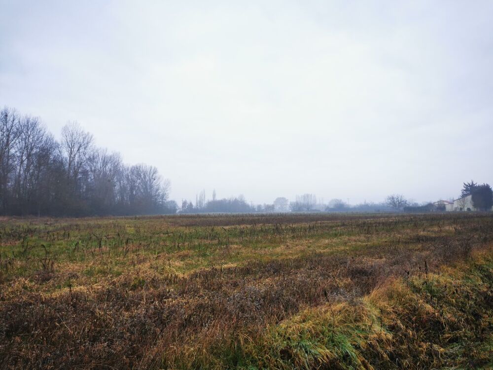 vente Terrain - 735 m² Viterbe (81220)