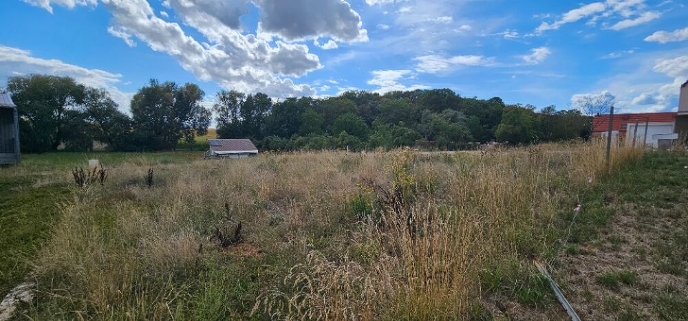 vente Maison - 3 pièce(s) - 110 m² Osthoffen (67990)