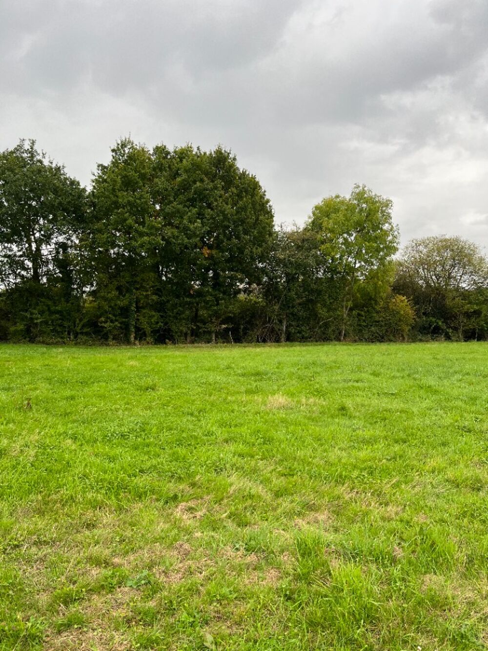 vente Terrain - 447 m² Saint-Germain-du-Corbéis (61000)