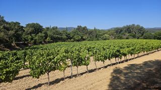  Terrain � vendre 698 m�