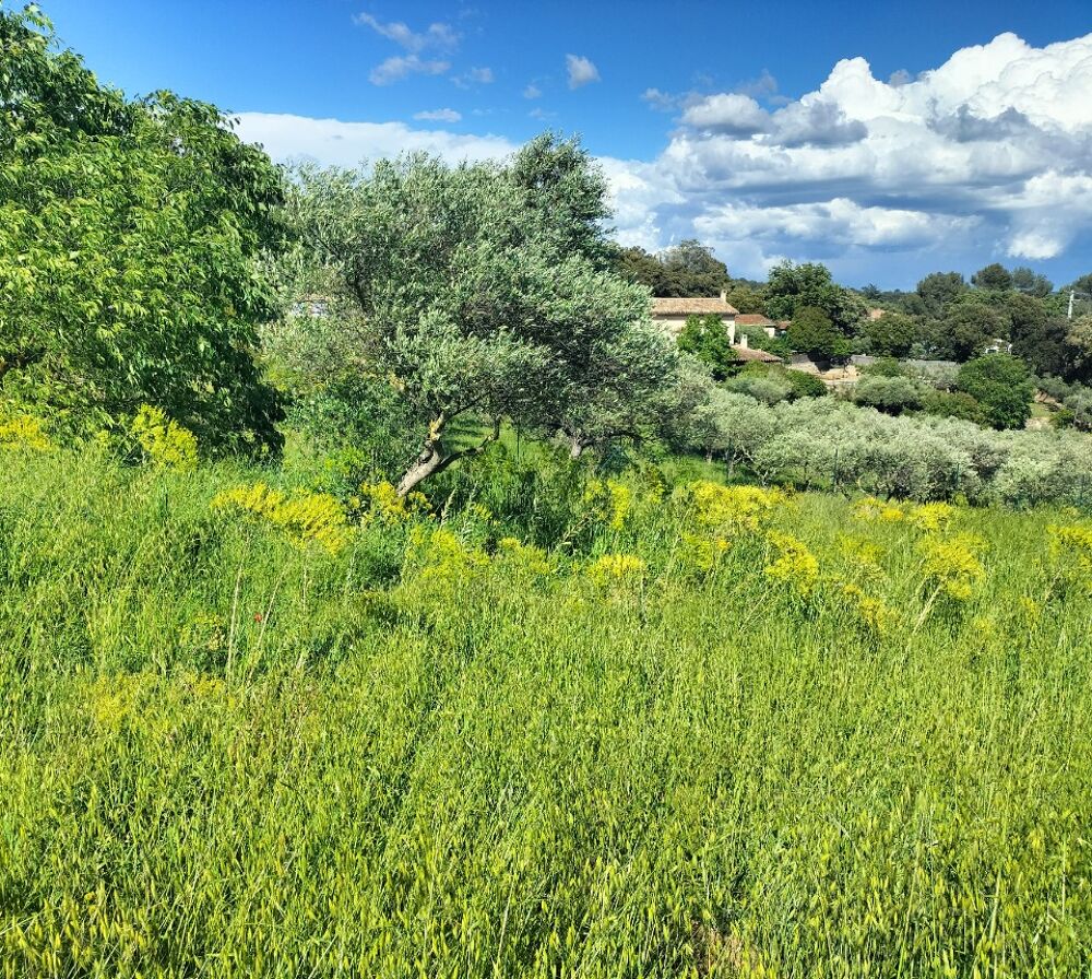 vente Maison - 3 pièce(s) - 60 m² Lorgues (83510)