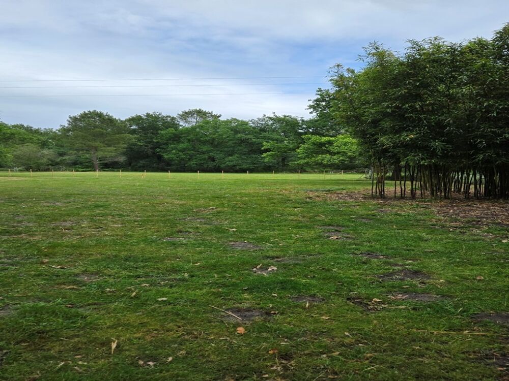 vente Terrain - 770 m² Saint-Mariens (33620)