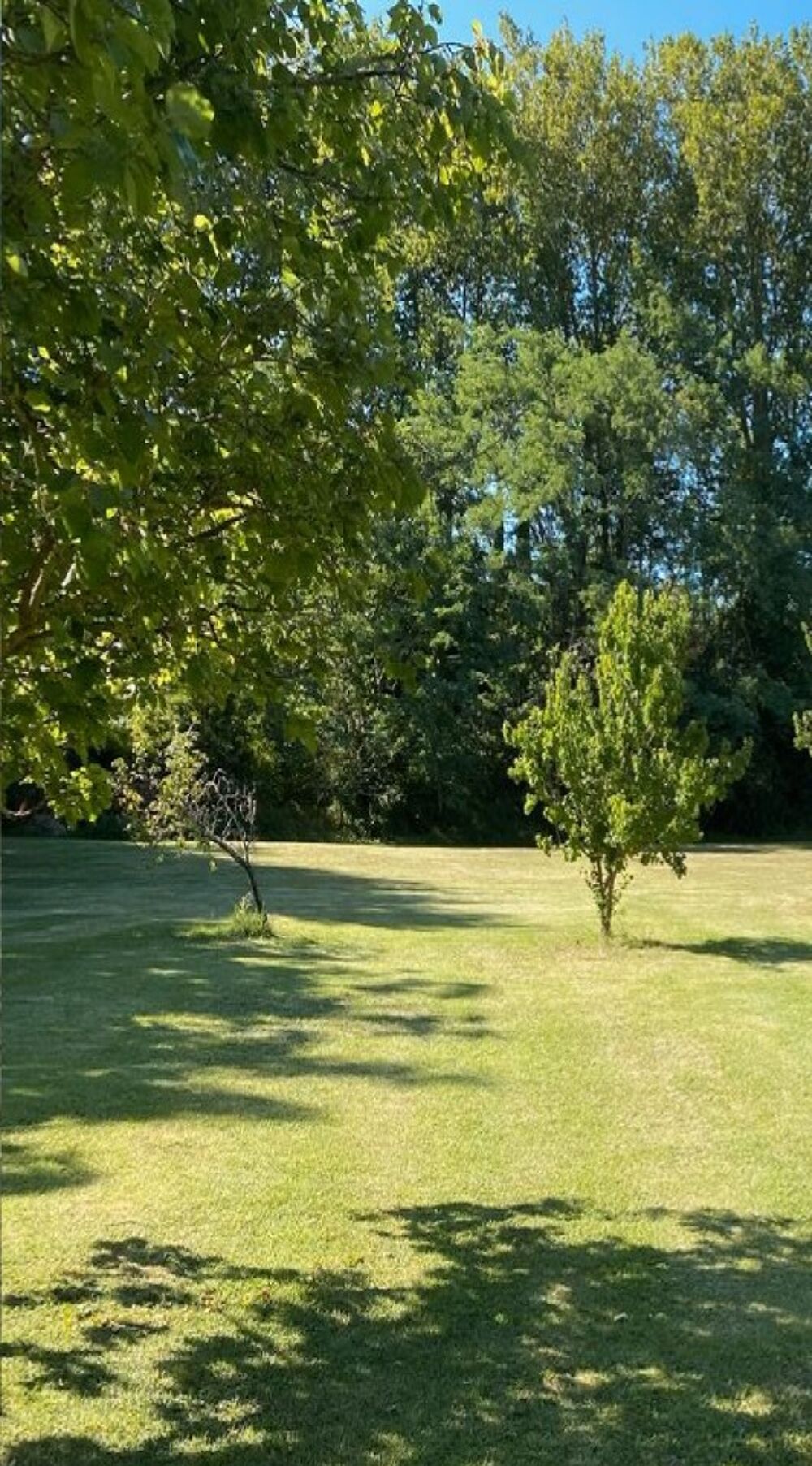 vente Maison - 6 pièce(s) - 140 m² Bellegarde-du-Razès (11240)
