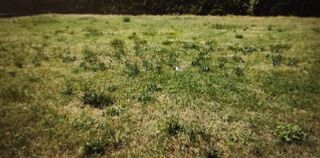  Terrain � vendre 930 m�