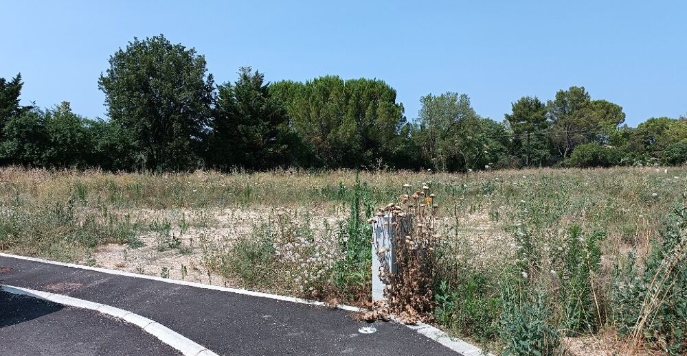 vente Terrain - 500 m Le Triadou (34270)