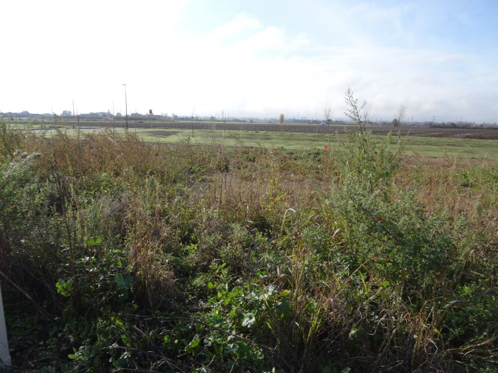 vente Maison - 4 pièce(s) - 120 m² Grisolles (82170)