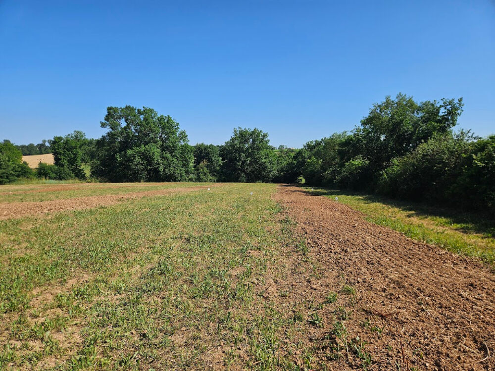 vente Maison - 5 pièce(s) - 91 m² Bernac (81150)