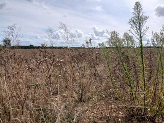  Maison � vendre 5 pi�ces 90 m�