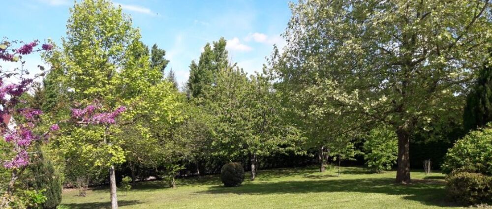 vente Terrain - 693 m² Thorigny-sur-Marne (77400)