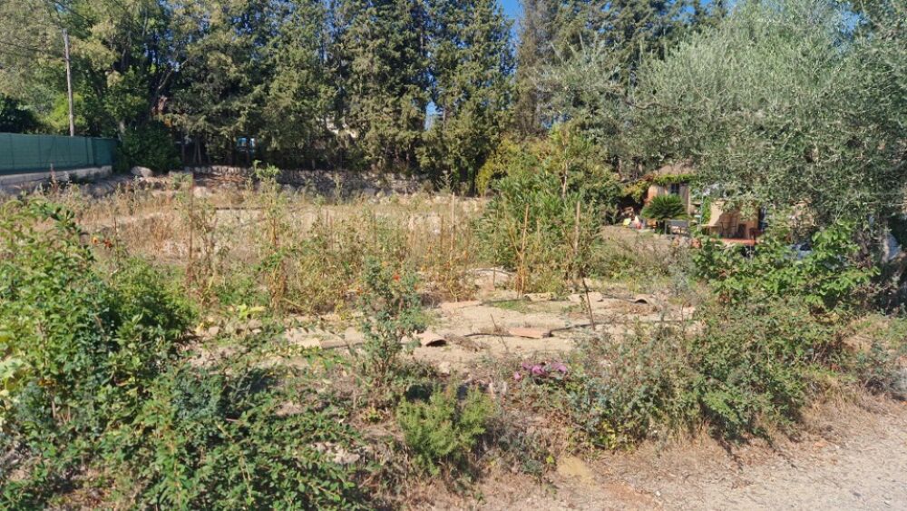 vente Terrain - 1000 m² Mouans-Sartoux (06370)