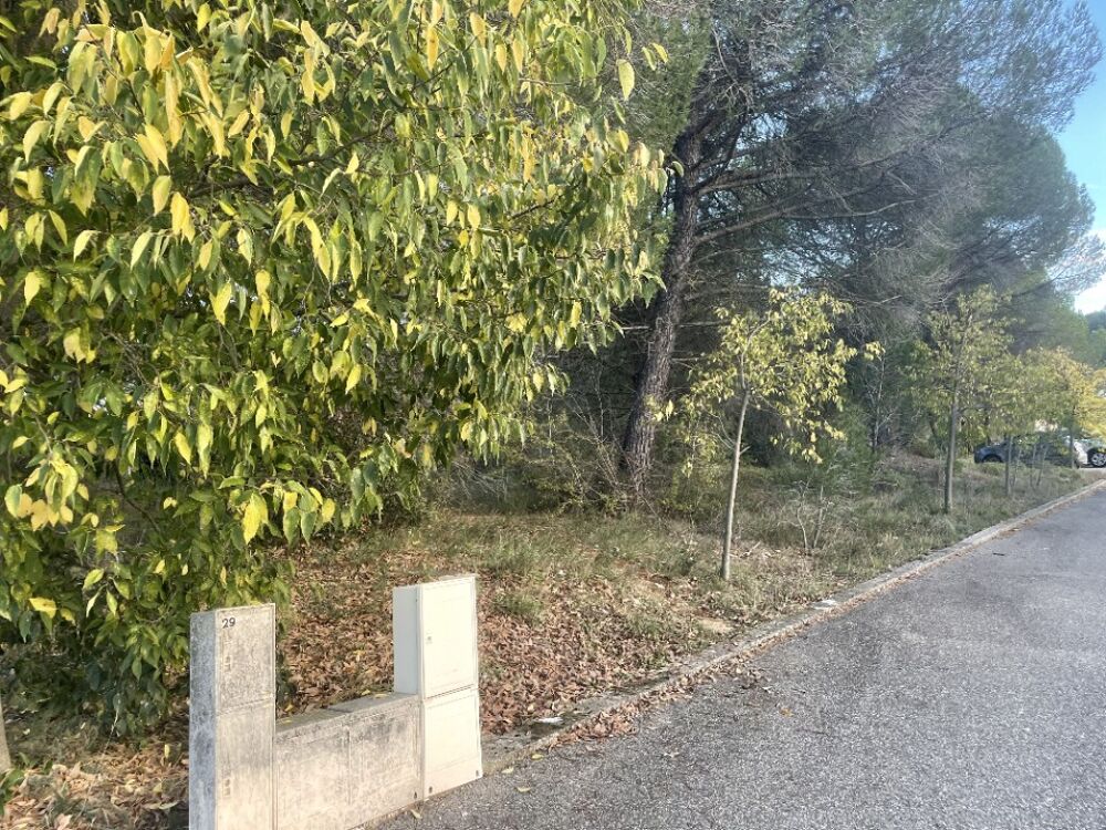 vente Terrain - 901 m² Alleins (13980)