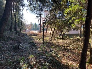  Terrain  vendre 505 m