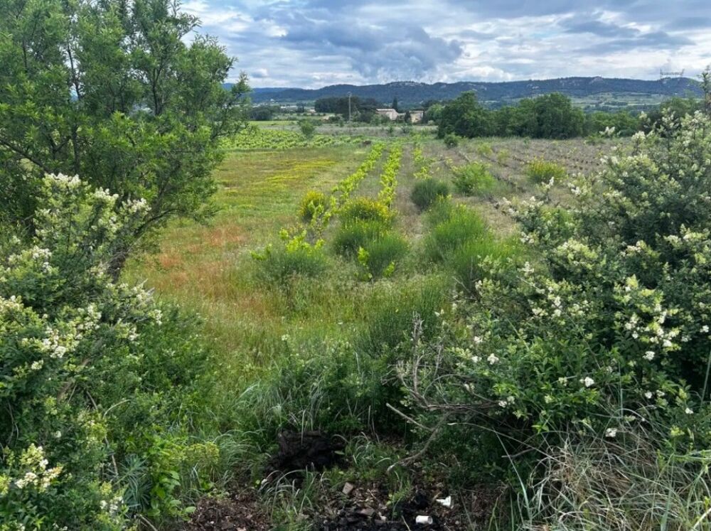 vente Terrain - 401 m² Sabran (30200)