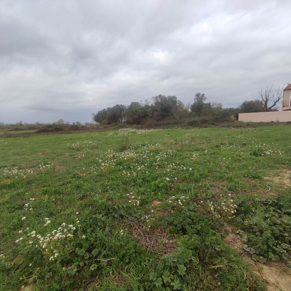 vente Terrain - 430 m² Salles-d'Aude (11110)