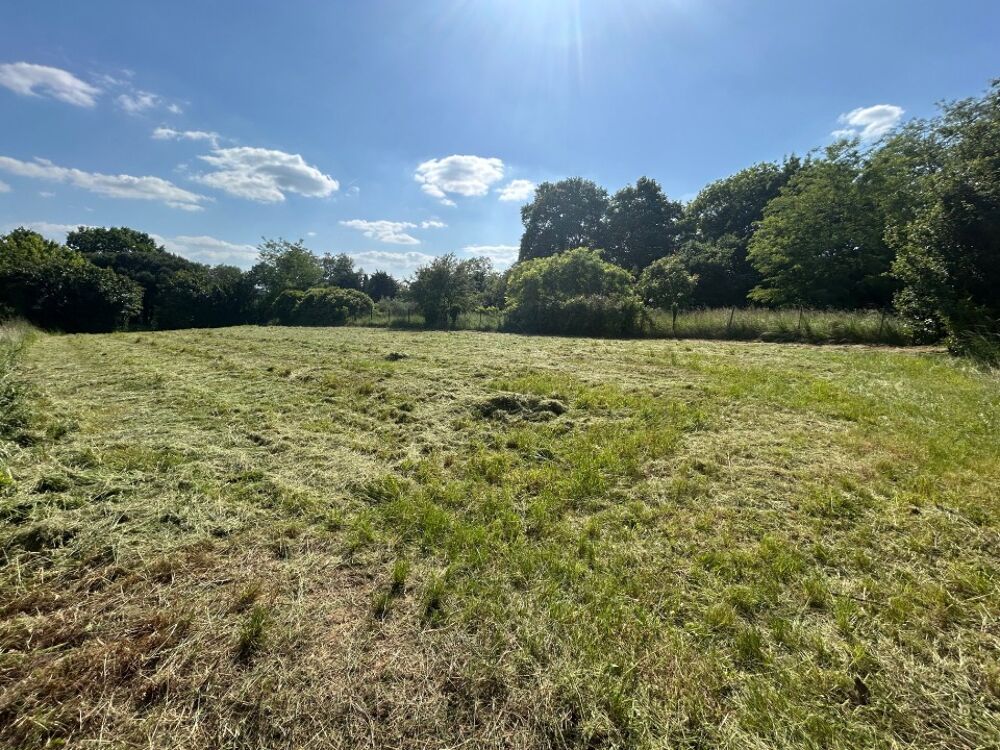 vente Terrain - 1400 m² Cambes (33880)