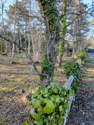  Maison � vendre 3 pi�ces 110 m�