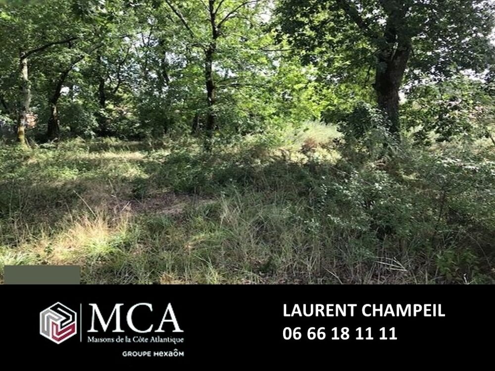 vente Maison - 3 pièce(s) - 65 m² Labenne (40530)