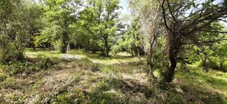  Terrain � vendre 1003 m�