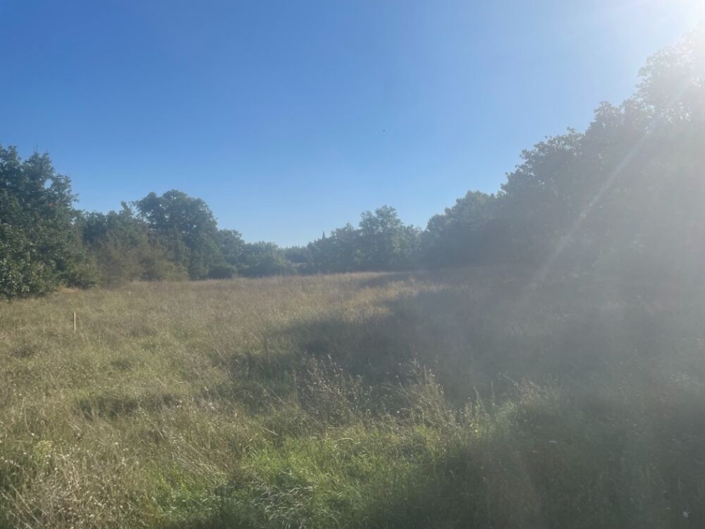 vente Terrain - 1000 m² Alleins (13980)