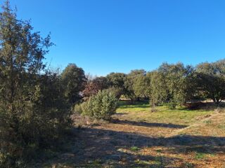  Terrain � vendre 1000 m�