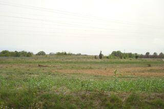  Maison 4 pi�ces 70 m� Perpignan