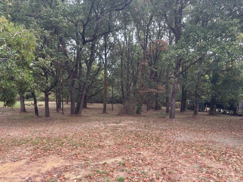 vente Terrain - 1000 m² Villaudric (31620)