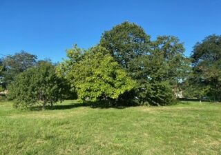  Maison 5 pi�ces 135 m� Roost-warendin