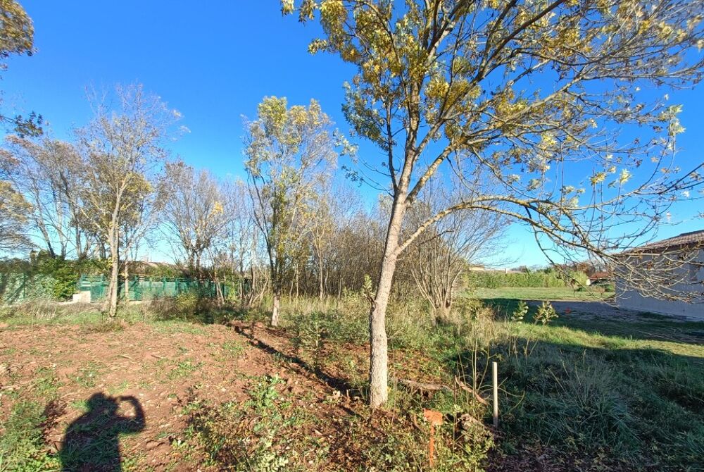 vente Terrain - 393 m² Le Luc (83340)