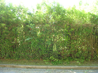  Maison � vendre 6 pi�ces 89 m�